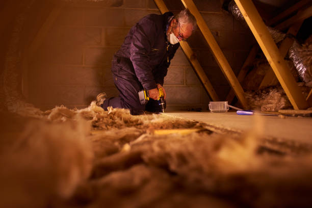 Best Insulation Maintenance and Repair in Montclair, VA